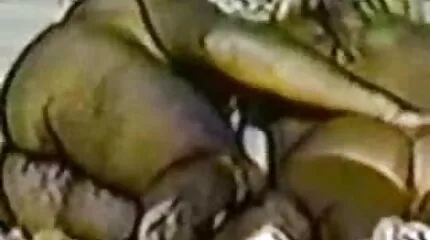 أظهرت سكسي مترجمة للعربية الفتاة النحيلة ثقوبها في صب الشرج