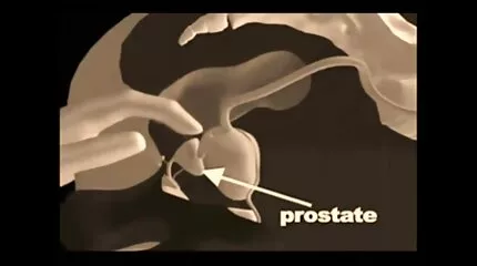 رجل أصلع لديه قضيب كبير يمارس الجنس مع جمال افلام سكس مترجمة للعربي في مؤخرة ضيقة