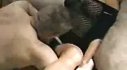 فاتنة مفلس يحصل سكس مترجم للعربية على الفم والحمار مارس الجنس الخام من قبل الغرباء في الطبيعة.